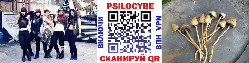 Галлюциногенные грибы прущие грибы  Кондопога 